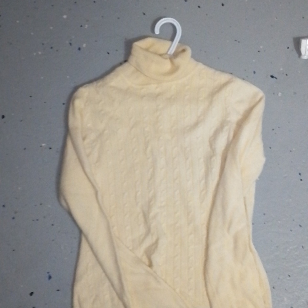 Cashmere turtleneck